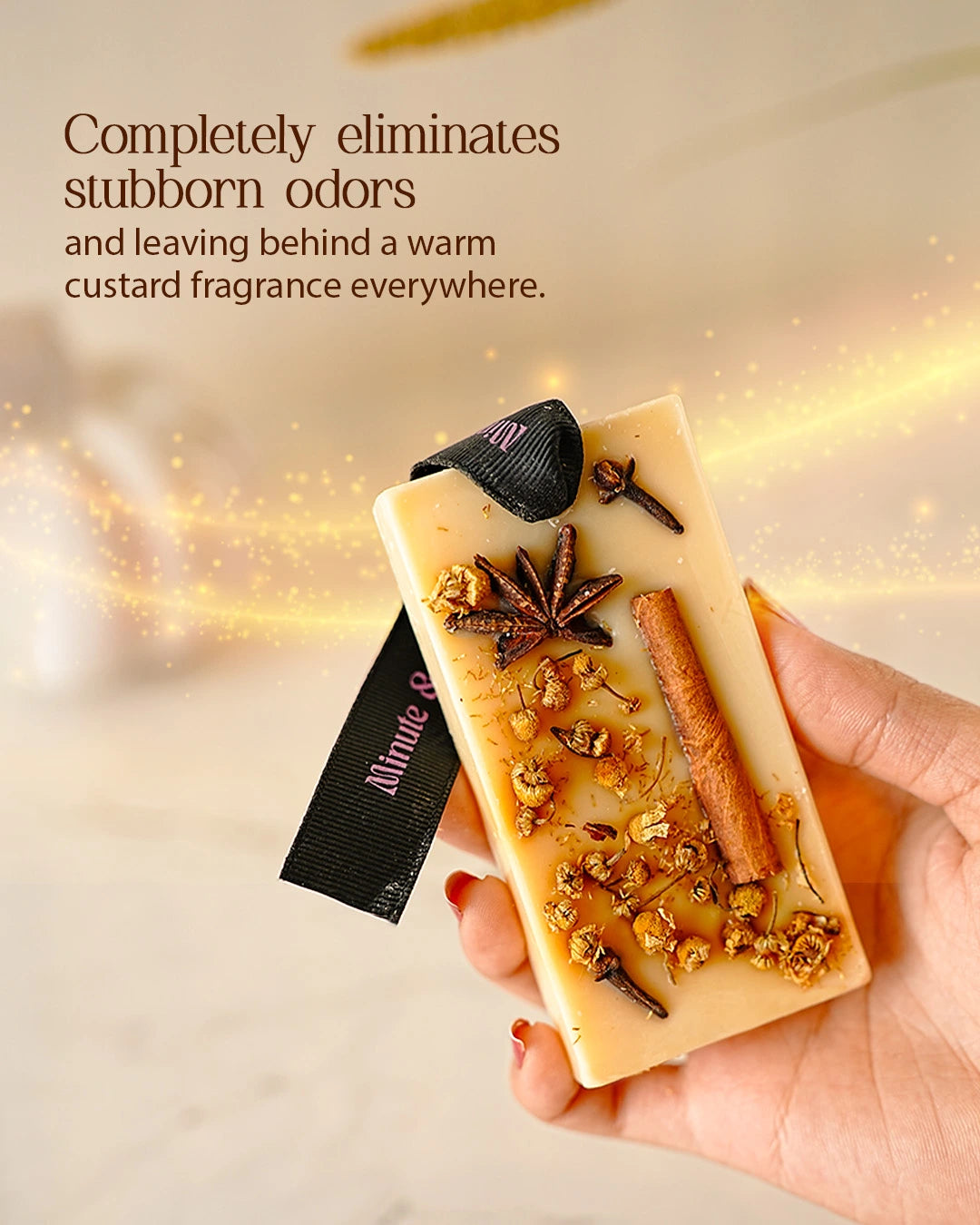 Spice Whisper | Scented Cinnamon Clove Wax Bar(Set of 2)