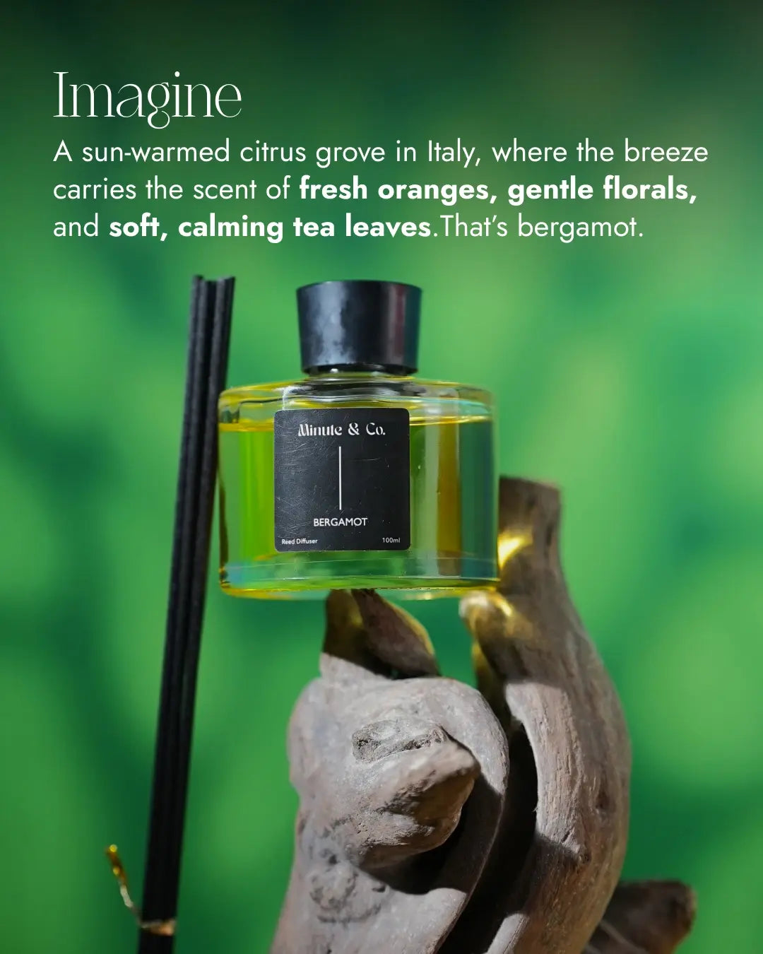 Reed Diffuser Set | Bergamot  | 100 ML