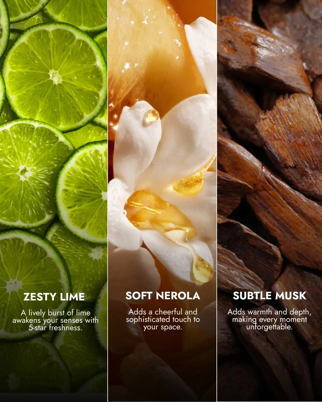 Reed Diffuser Set | Bergamot  | 100 ML