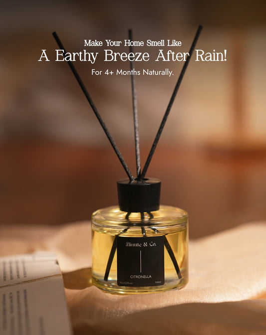 Key Lime Pie | Citronella Reed Diffuser Set | 100 ML