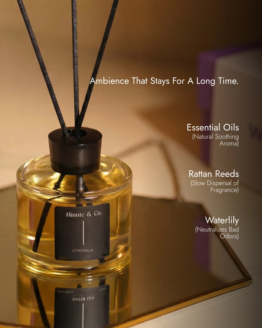 Key Lime Pie | Citronella Reed Diffuser Set | 100 ML