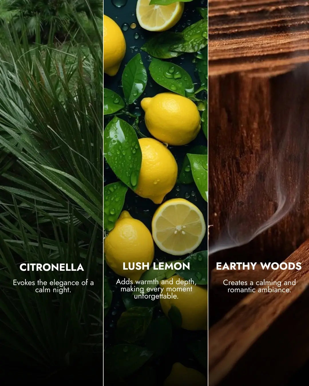 Reed Diffuser Set | Citronella | 100 ML