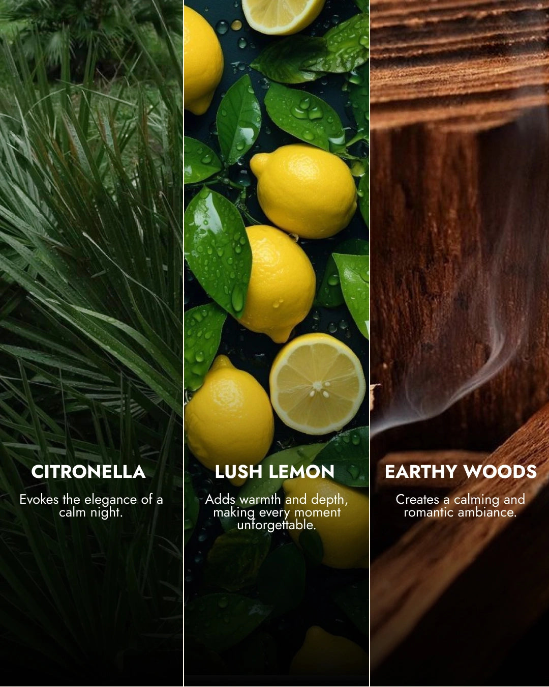 Key Lime Pie | Citronella Reed Diffuser Set | 100 ML