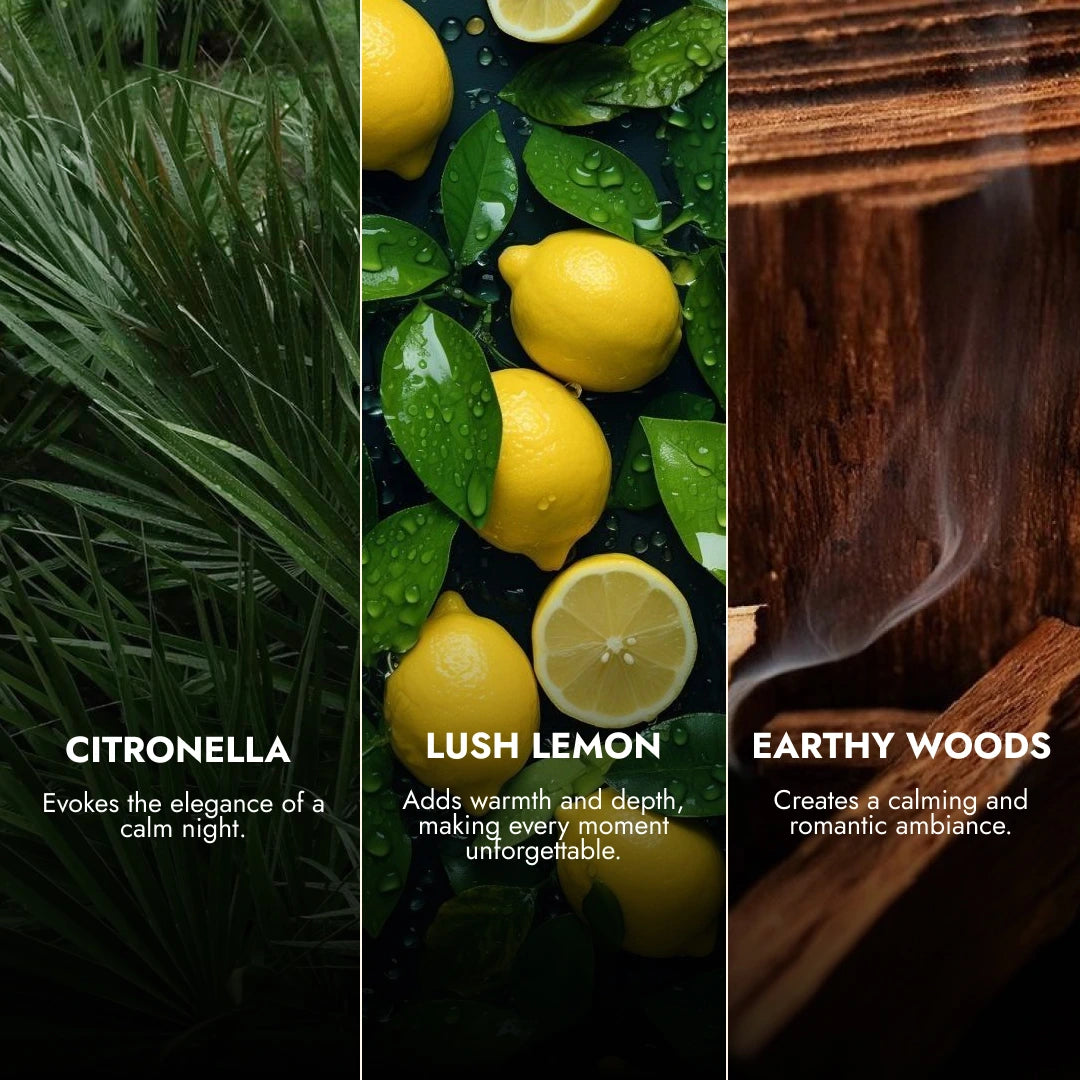 Reed Diffuser Set | Citronella | 100 ML