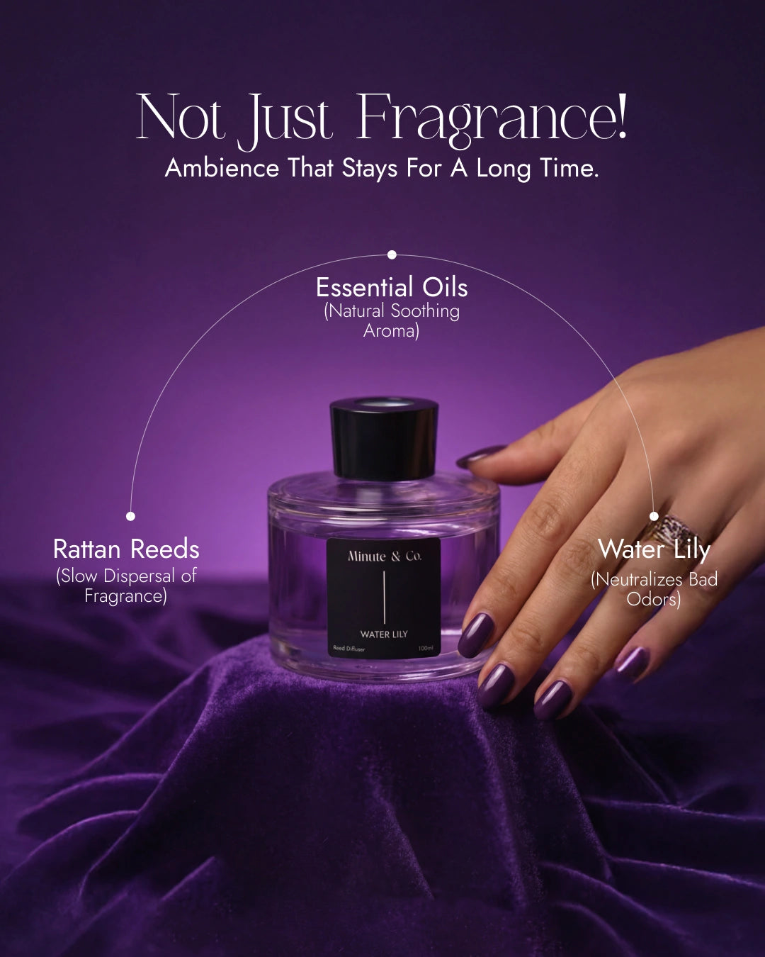 Lychee Panna Cotta | Water Lily Reed Diffuser Set | 100 ML