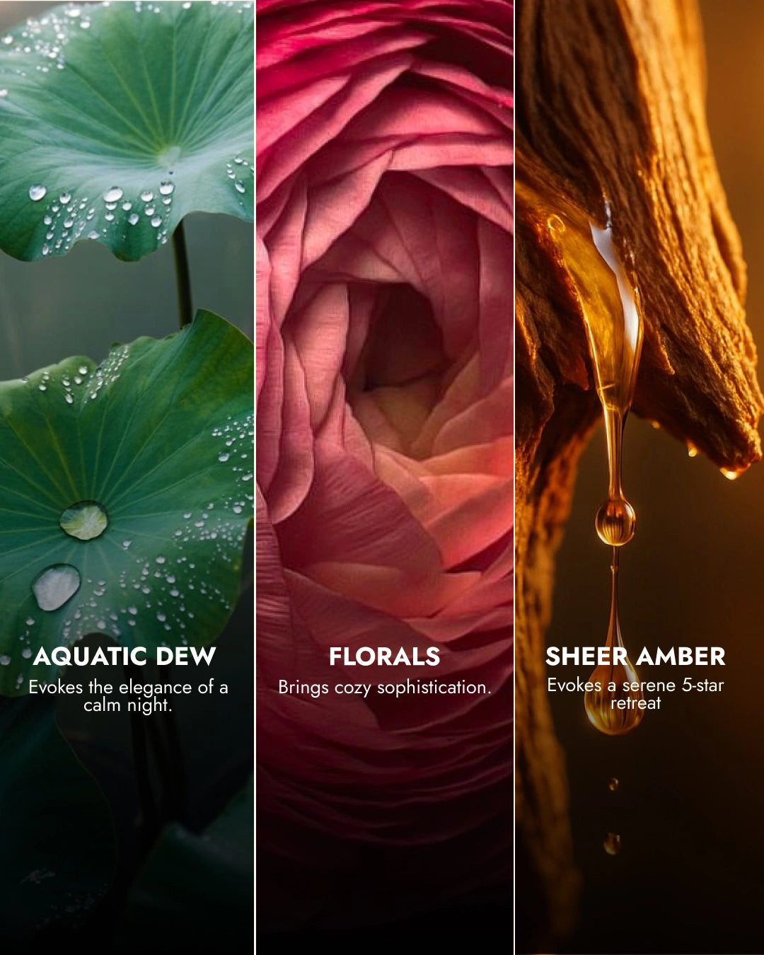 Lychee Panna Cotta | Water Lily Reed Diffuser Set | 100 ML