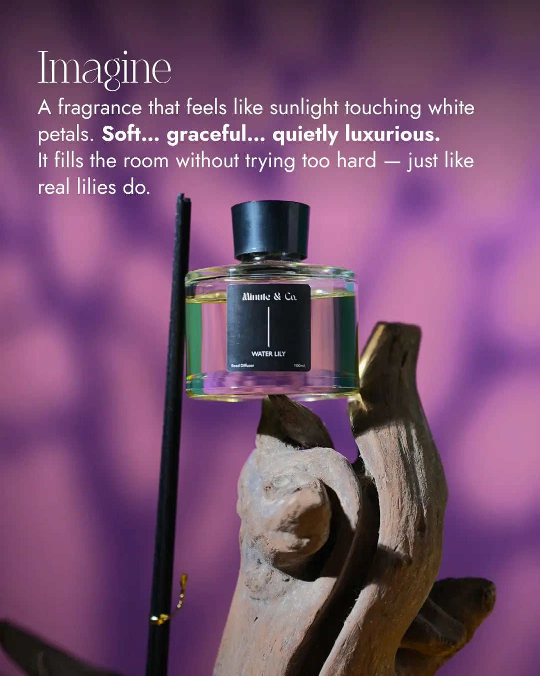 Reed Diffuser Set | Water lily | 100 ML