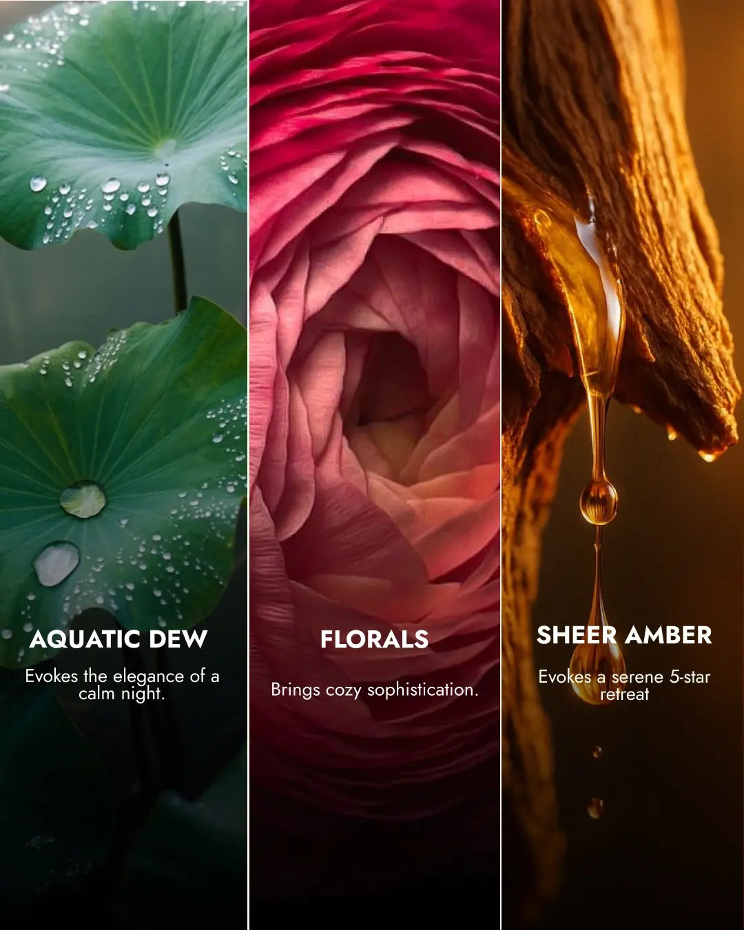 Reed Diffuser Set | Water lily | 100 ML