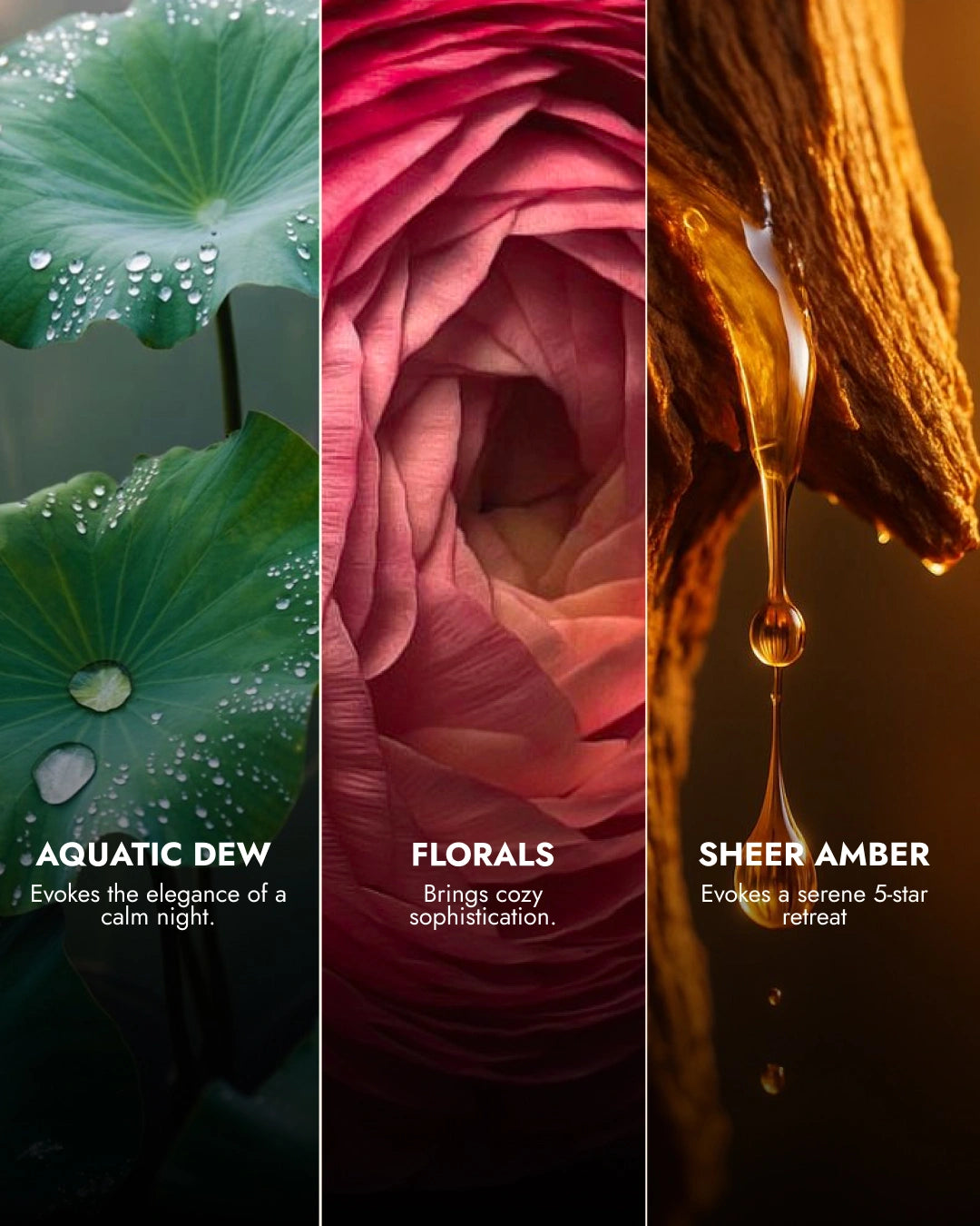 Lychee Panna Cotta | Water Lily Reed Diffuser Set | 100 ML