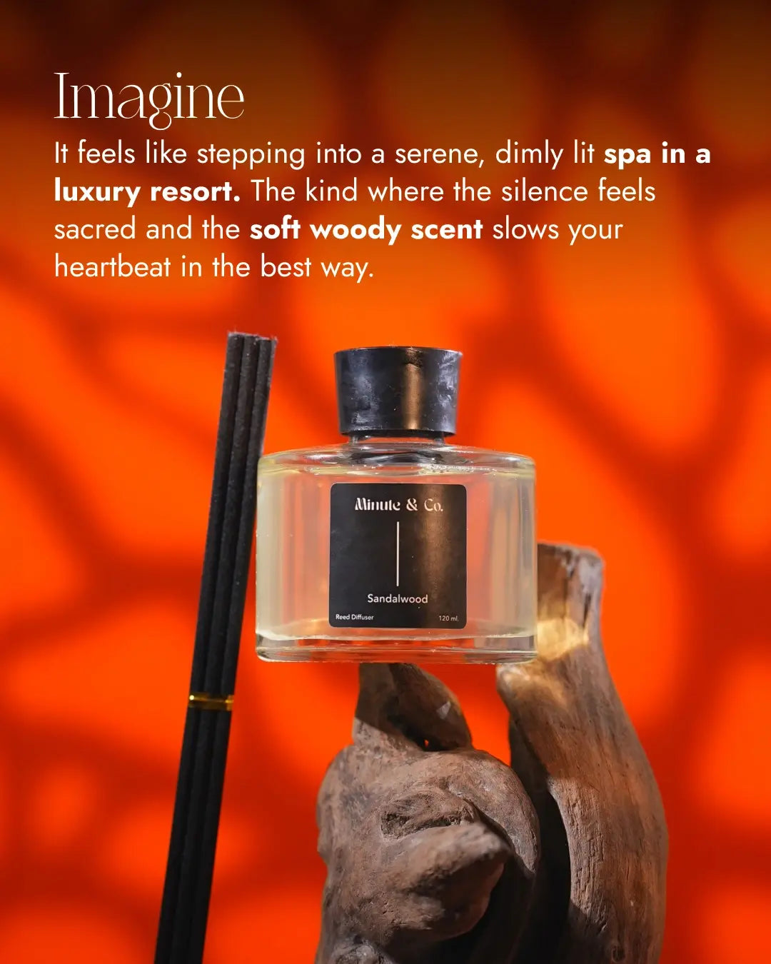 Reed Diffuser Set | sandalwood | 100 ML